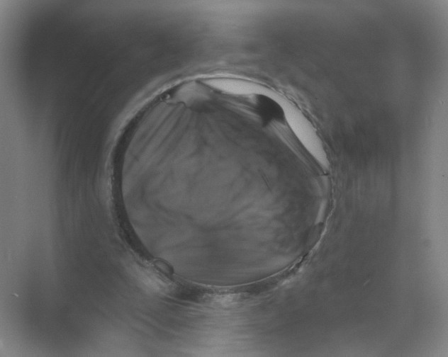 X0000074040295200609181959