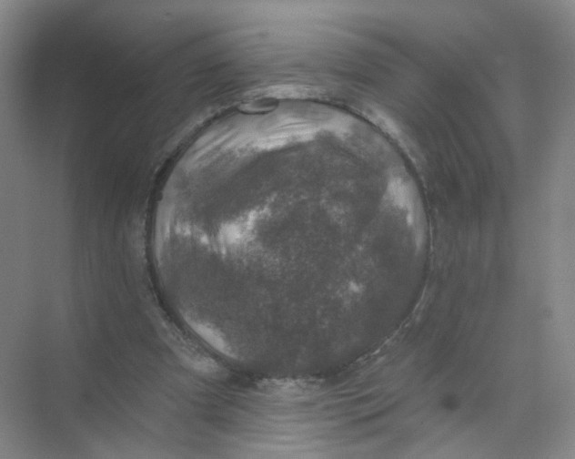 X0000074040297200609181959