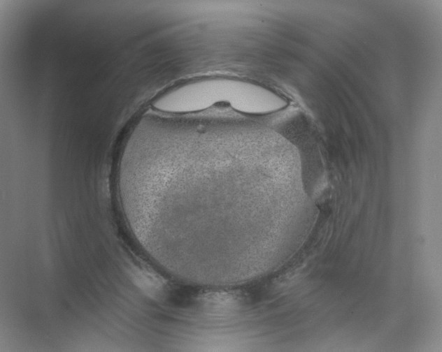 X0000074040299200609181959