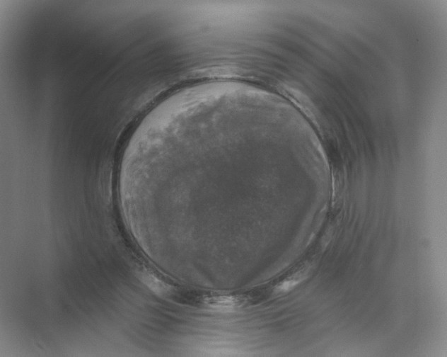 X0000074040301200609181959