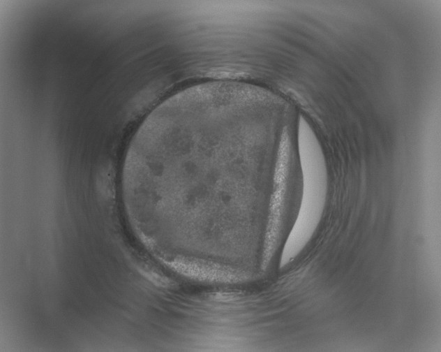 X0000074040303200609181959