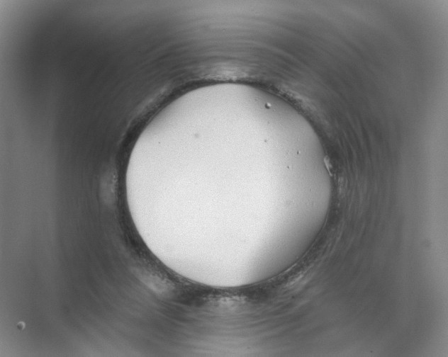 X0000074040304200609181959