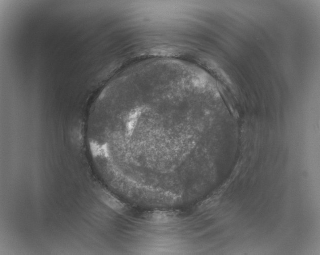 X0000074040305200609181959