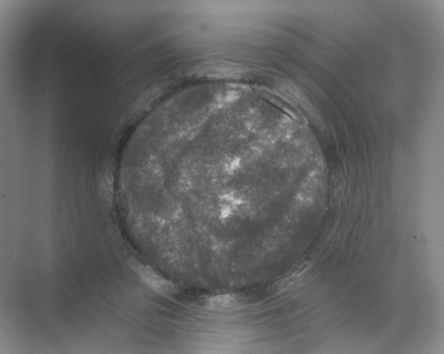 X0000074040309200609181959