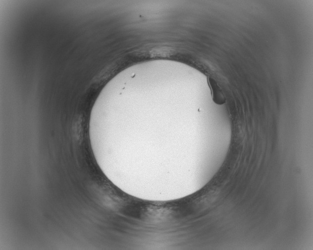 X0000074040311200609181959