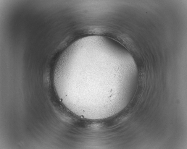 X0000074040312200609181959