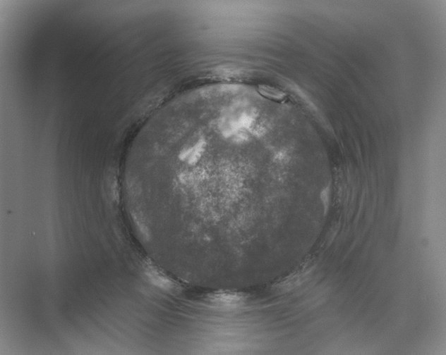 X0000074040313200609181959