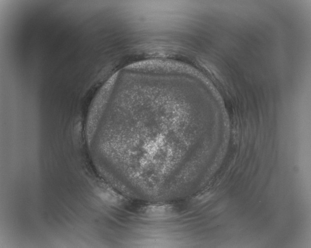 X0000074040314200609181959