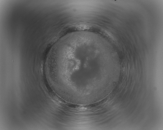 X0000074040315200609181959