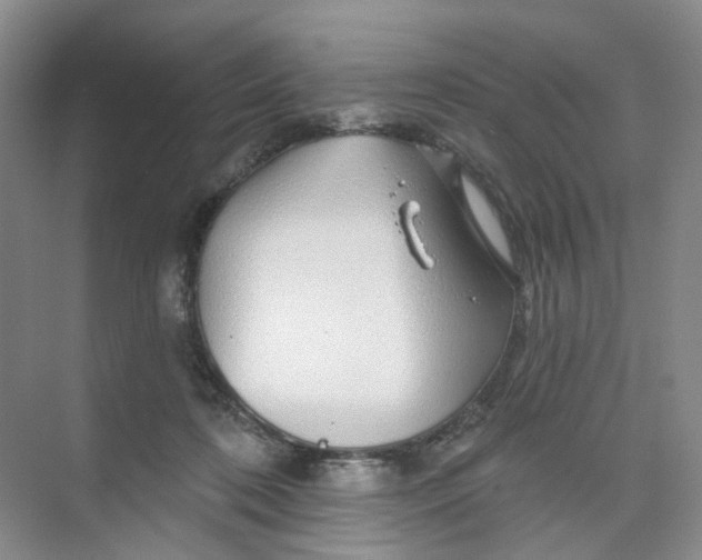 X0000074040316200609181959