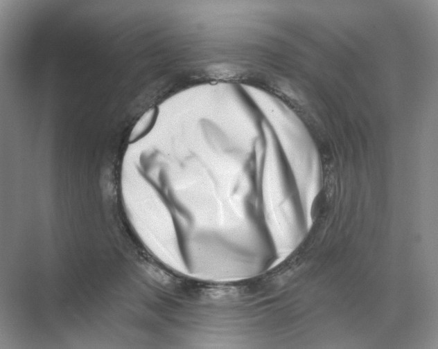 X0000074040317200609181959