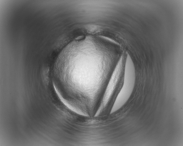 X0000074040319200609181959