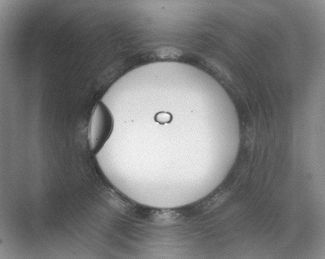 X0000074040321200609181959