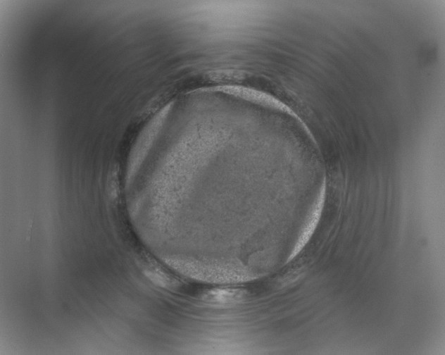 X0000074040323200609181959