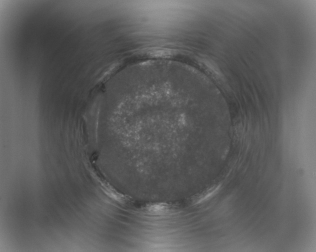 X0000074040325200609181959