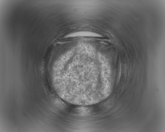 X0000074040326200609181959