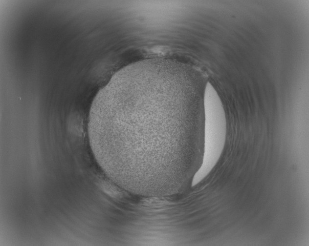 X0000074040331200609181959