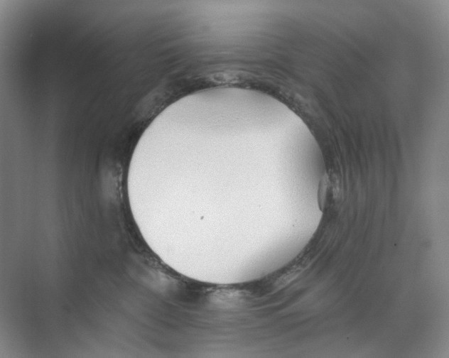 X0000074040332200609181959