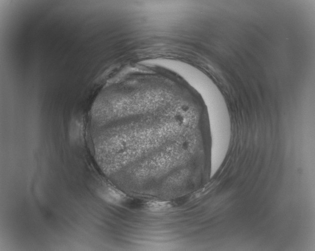 X0000074040333200609181959