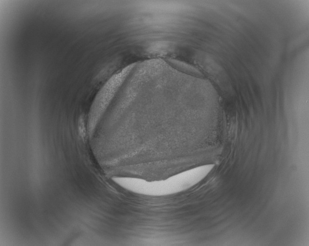 X0000074040335200609181959