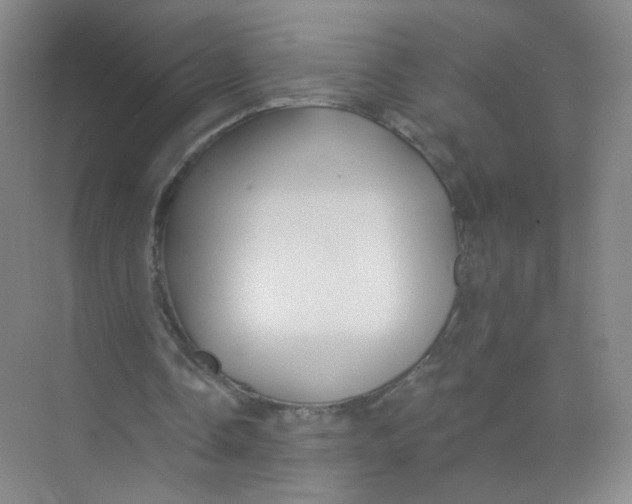 X0000074040338200609181958