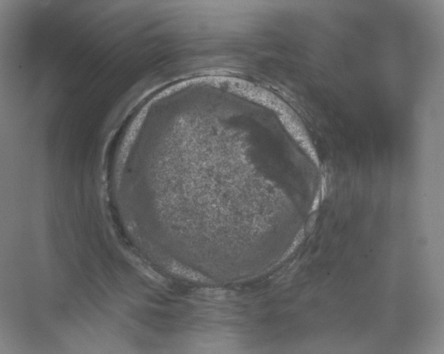 X0000074040339200609181958