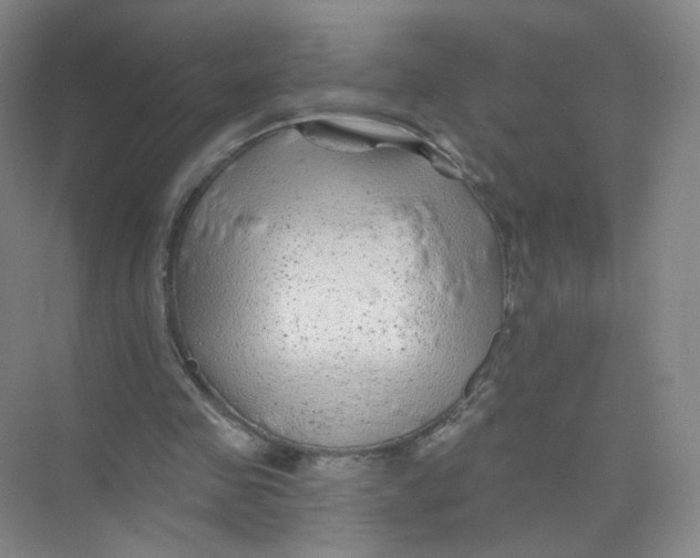 X0000074040341200609181958