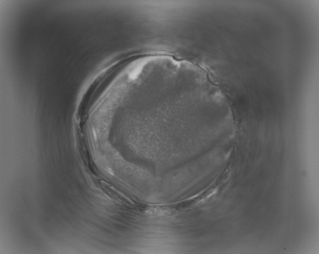 X0000074040343200609181958