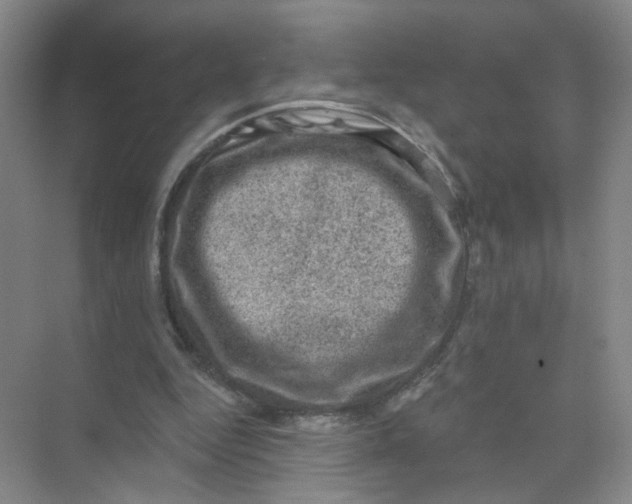 X0000074040344200609181958