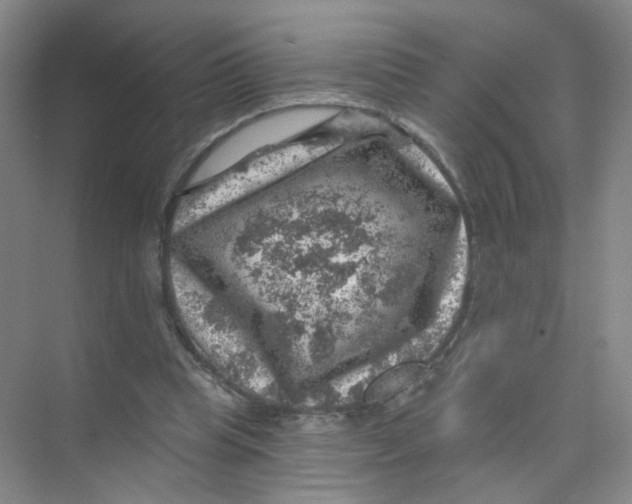 X0000074040345200609181958