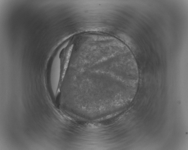 X0000074040346200609181958