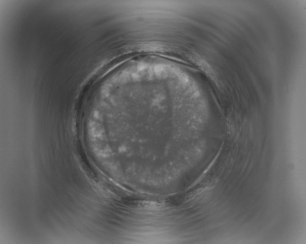 X0000074040347200609181958