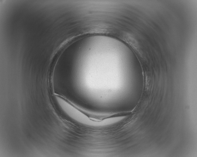 X0000074040348200609181958