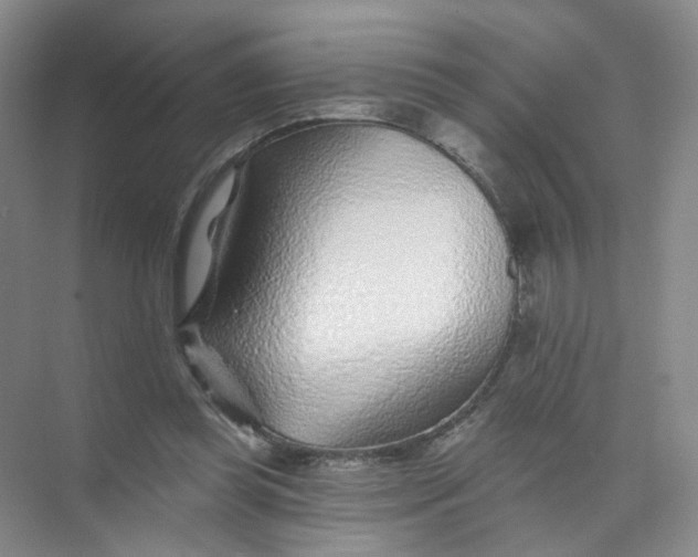 X0000074040349200609181958