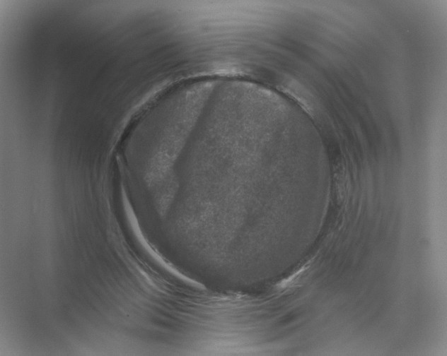 X0000074040350200609181958