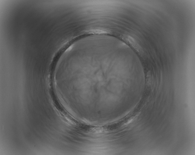 X0000074040351200609181958