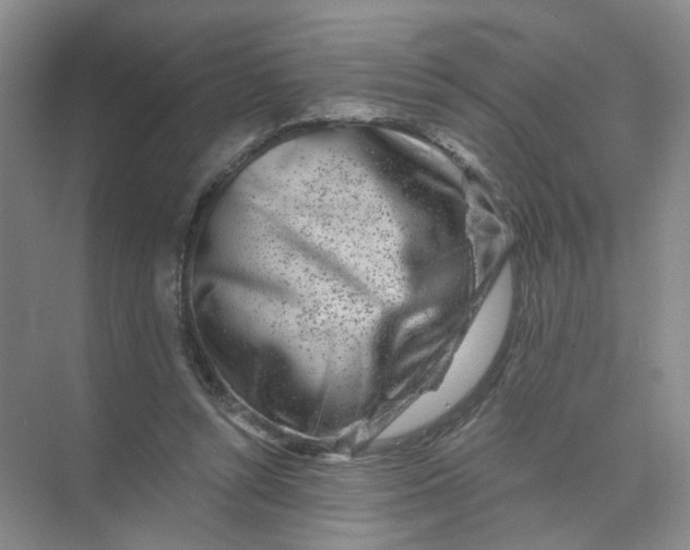 X0000074040352200609181958