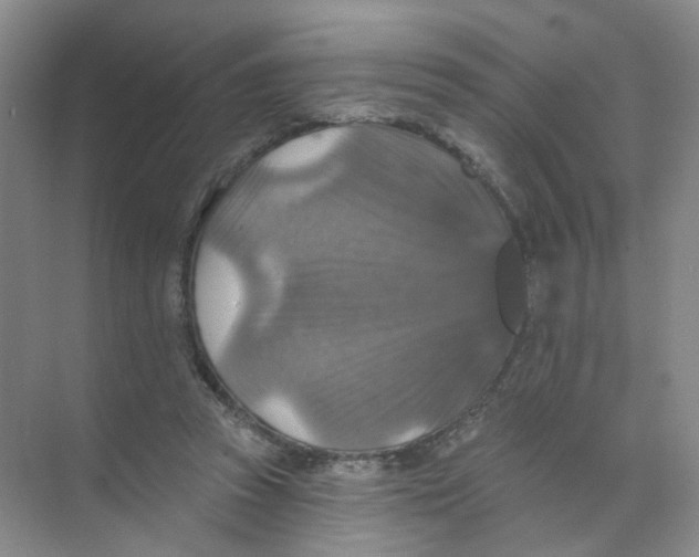 X0000074040353200609181958