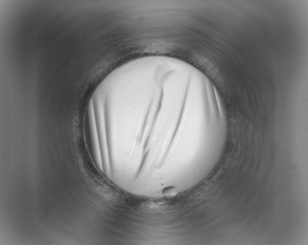 X0000074040354200609181958