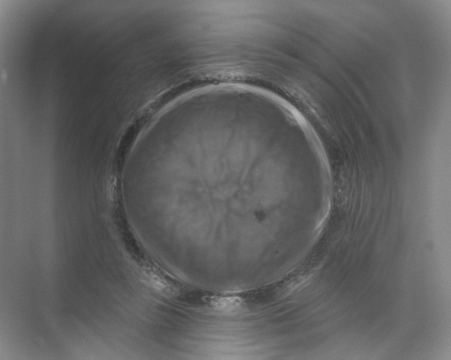 X0000074040355200609181958