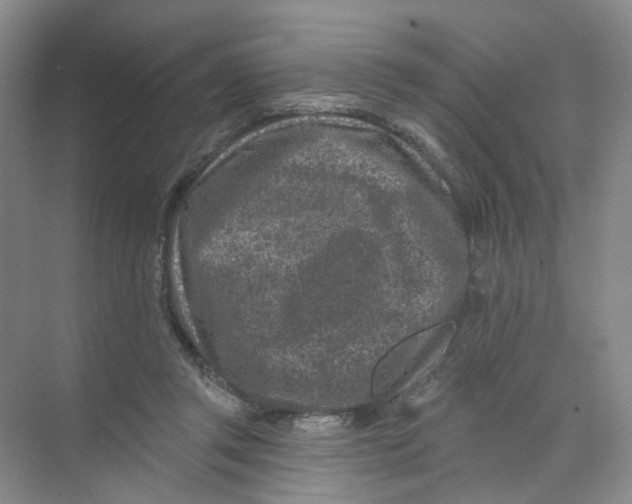 X0000074040357200609181958