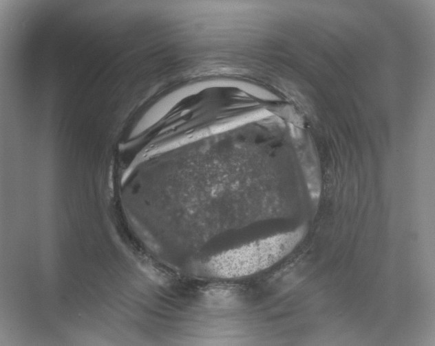 X0000074040358200609181958