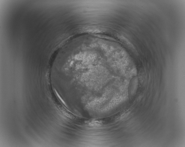 X0000074040359200609181958