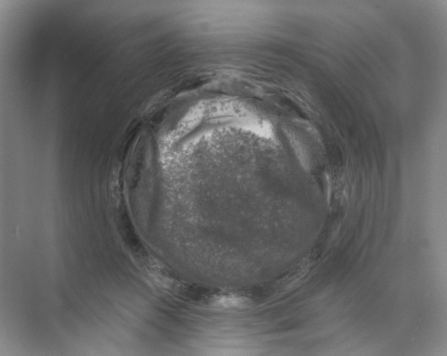 X0000074040360200609181958