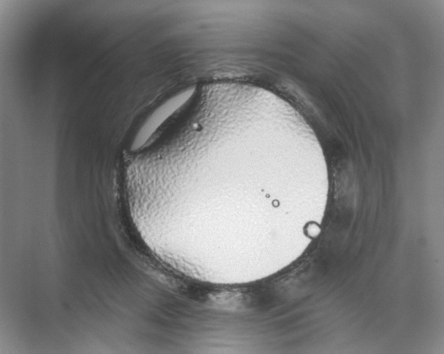 X0000074040362200609181958