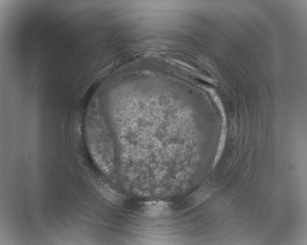 X0000074040363200609181958