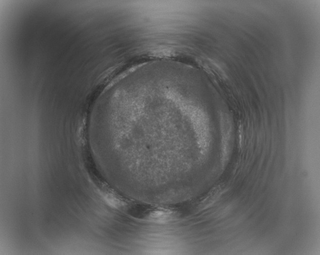 X0000074040364200609181958