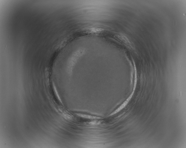 X0000074040366200609181958