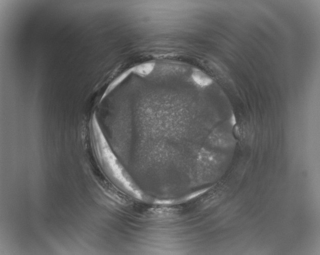 X0000074040367200609181958