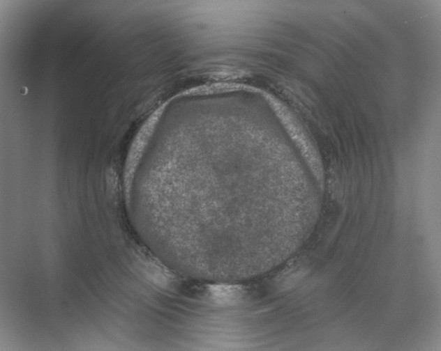 X0000074040371200609181958